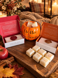 Pumpkin Wax Burner  Special Offer