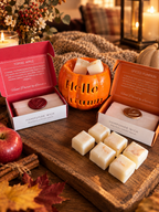Pumpkin Wax Burner  Special Offer