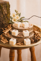 Sandalwood & Musk Wax Melts