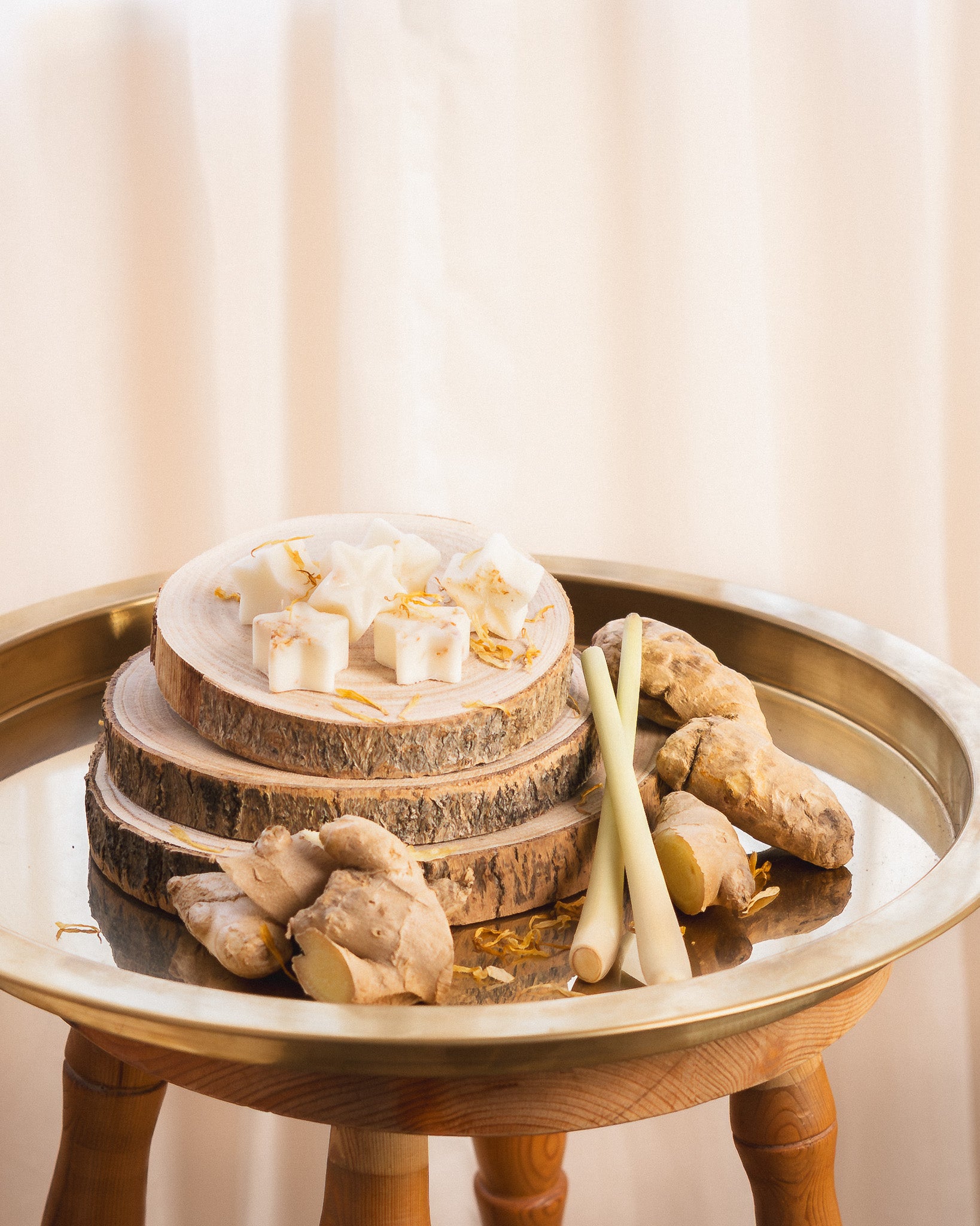 Lemongrass & Ginger Wax Melts