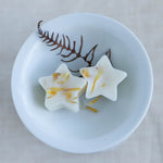 Spiced Pumpkin Wax Melts