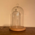 Glass Cloche with wooden base